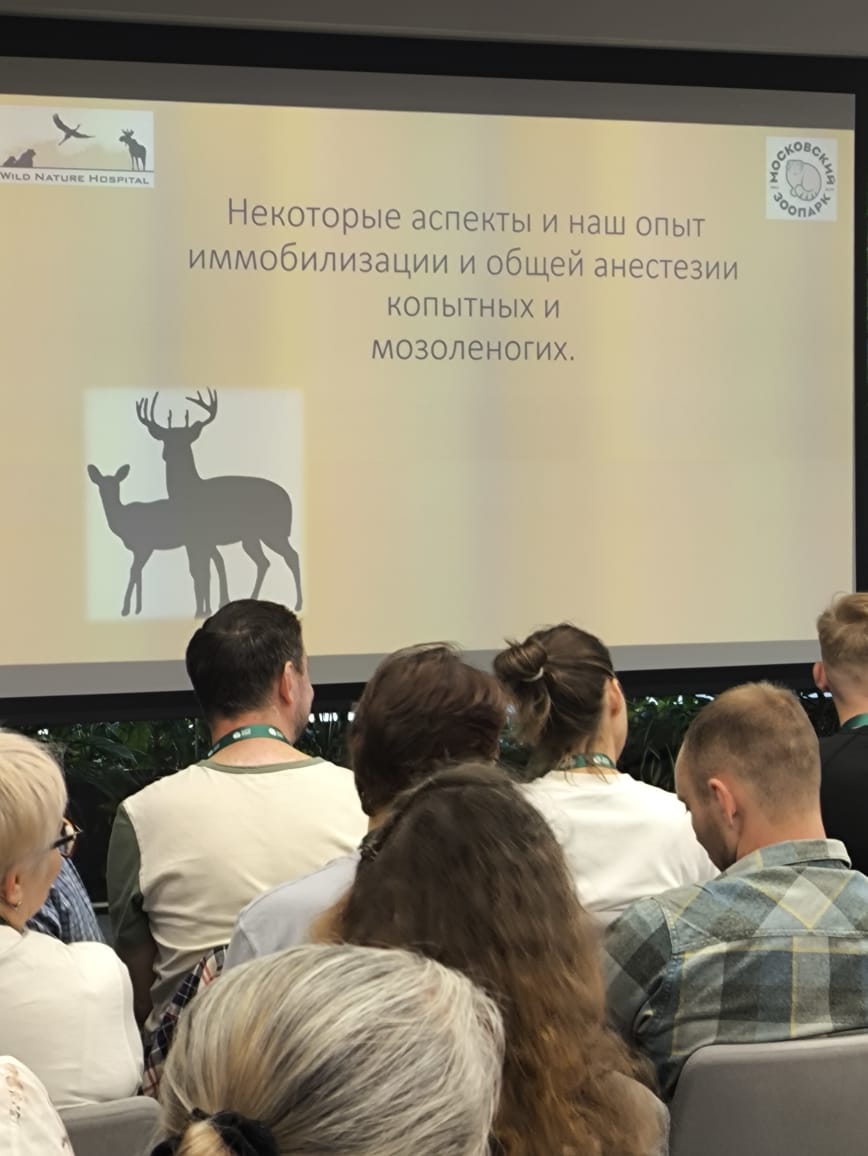 Изображение WhatsApp 2025 09 15 в 18.01.21 b83f222b