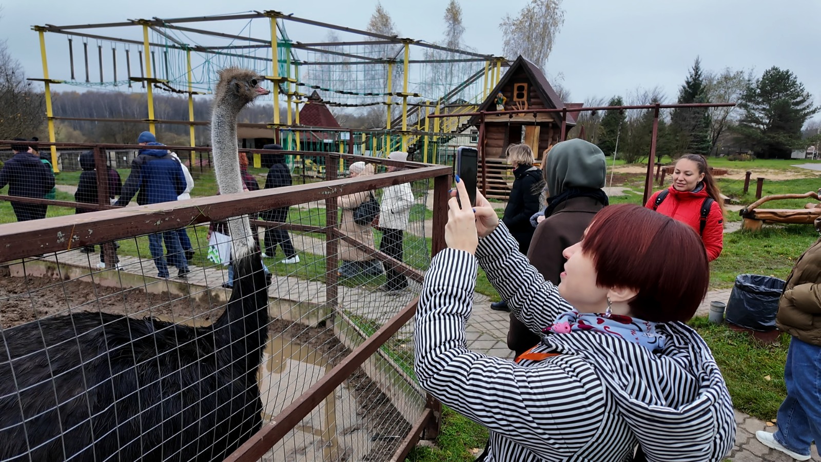 Изображение WhatsApp 2025 10 31 в 14.11.29 e50d27e4