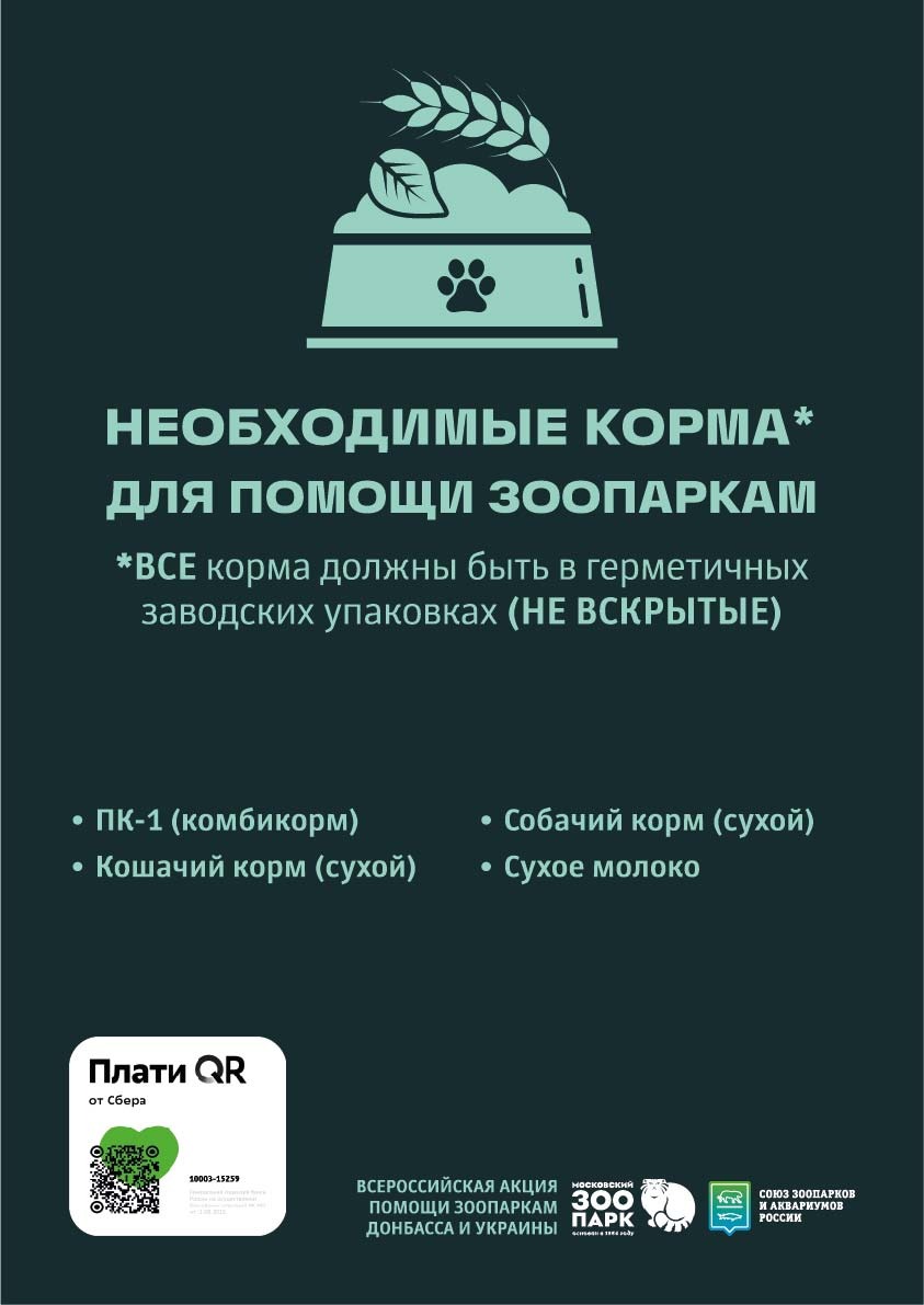 WhatsApp Image 2022 04 06 at 18.07.41