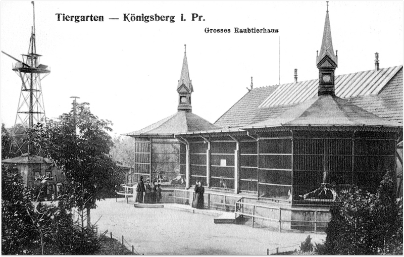 dom 1907