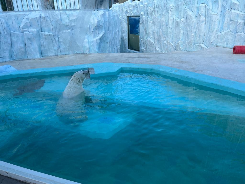 ek zoo01