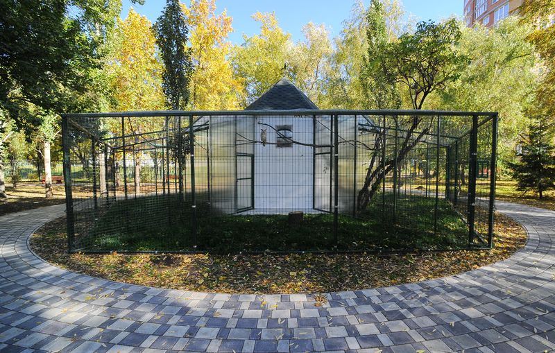sov omsk